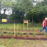 April26-Naschgarten-Buergerverein-3